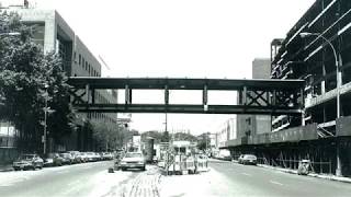 Hostos 50 Oral History Collective