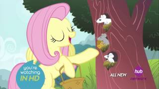 My Little Pony Season 4 Episode 14 Filli Vanilli Music In The Treetops Fluttershy