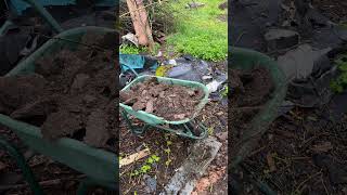 Dnes sem v tom zbouraném kurníku uklízel starý hnůj po slepicích