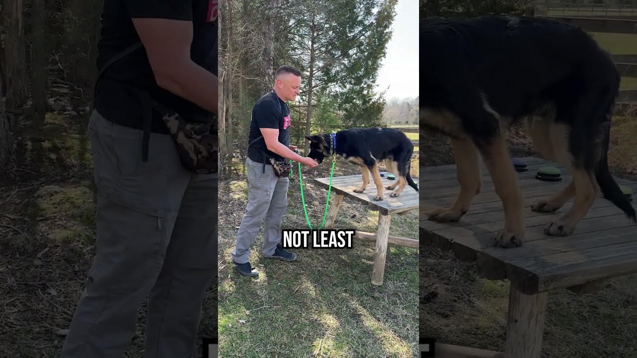 Меня только что раскритиковали на камеру!