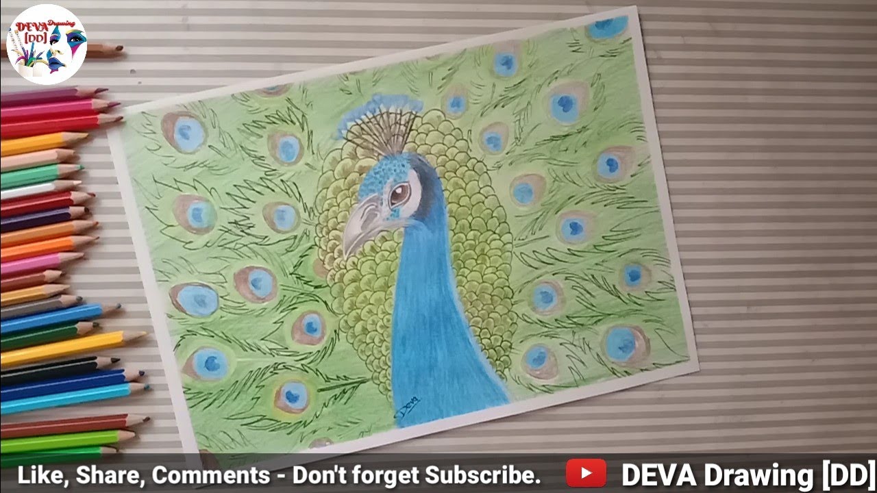 Peacock Drawing II How to draw Peacock Drawing II Colour Drawing II