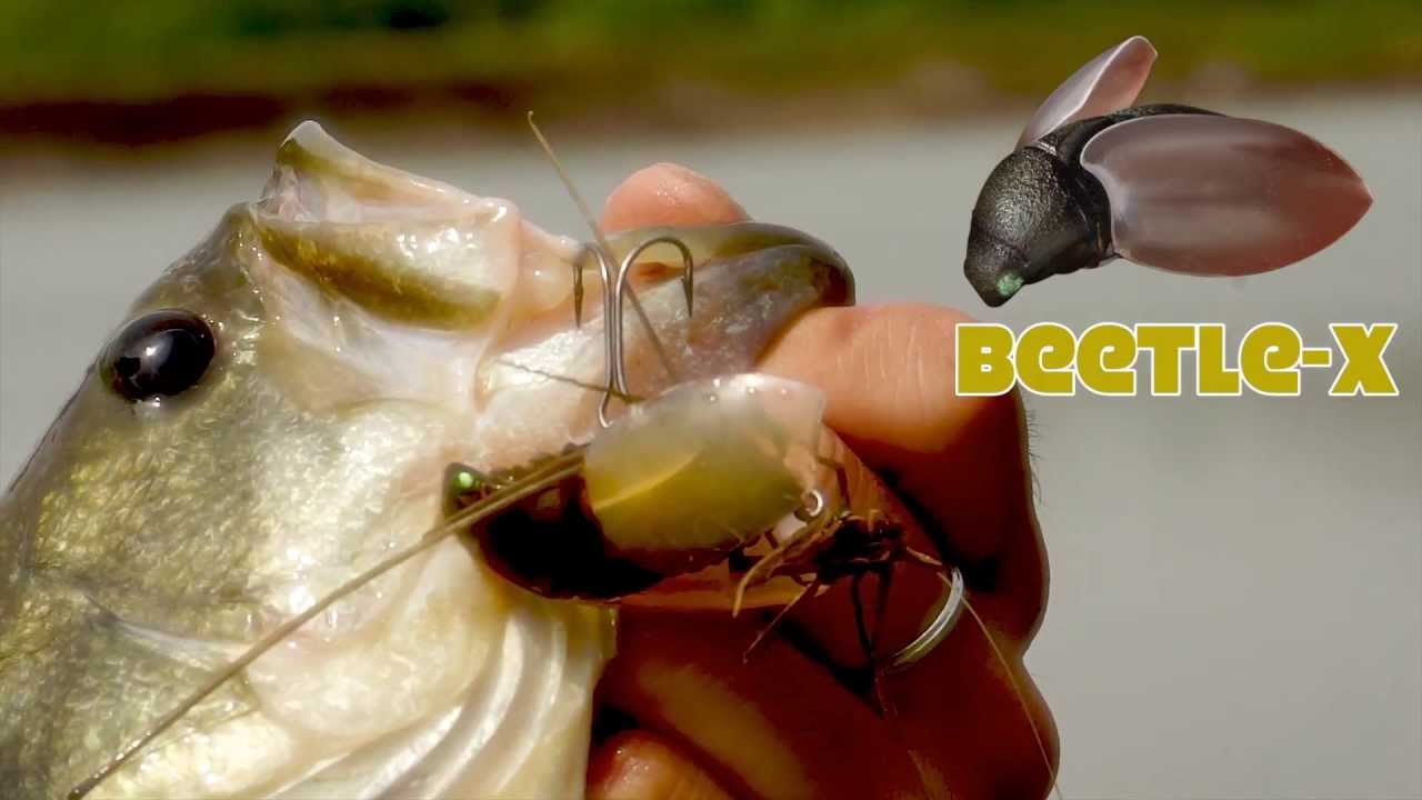 MEGABASS / BEETLE-X | IchibanTackle.com