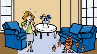 Jacksonville Pest Control