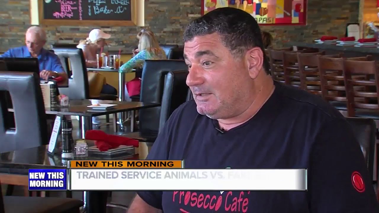 vero beach weather Restaurant owners struggle with gray areas in ADA laws regarding service animals