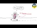 Comprendre les Vaccins