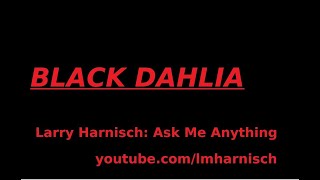 Black Dahlia Ask Me Anything, November 2025