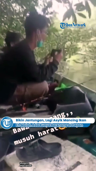 ®️🔴 Bikin Jantungan, Lagi Asyik Mancing Ikan Eh Malah Ada Buaya Berenang di Depan