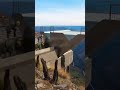 Cliffside Infinity Pool Built in Seconds – Hyperspeed Magic!