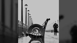 مهرجان قلبي في بحر مالح حالات واتس