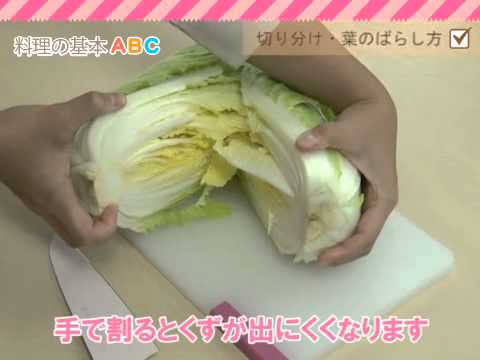 白菜のばらし方・分け方