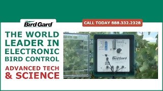 Bird Gard | Advanced Bird Control Technology & Science