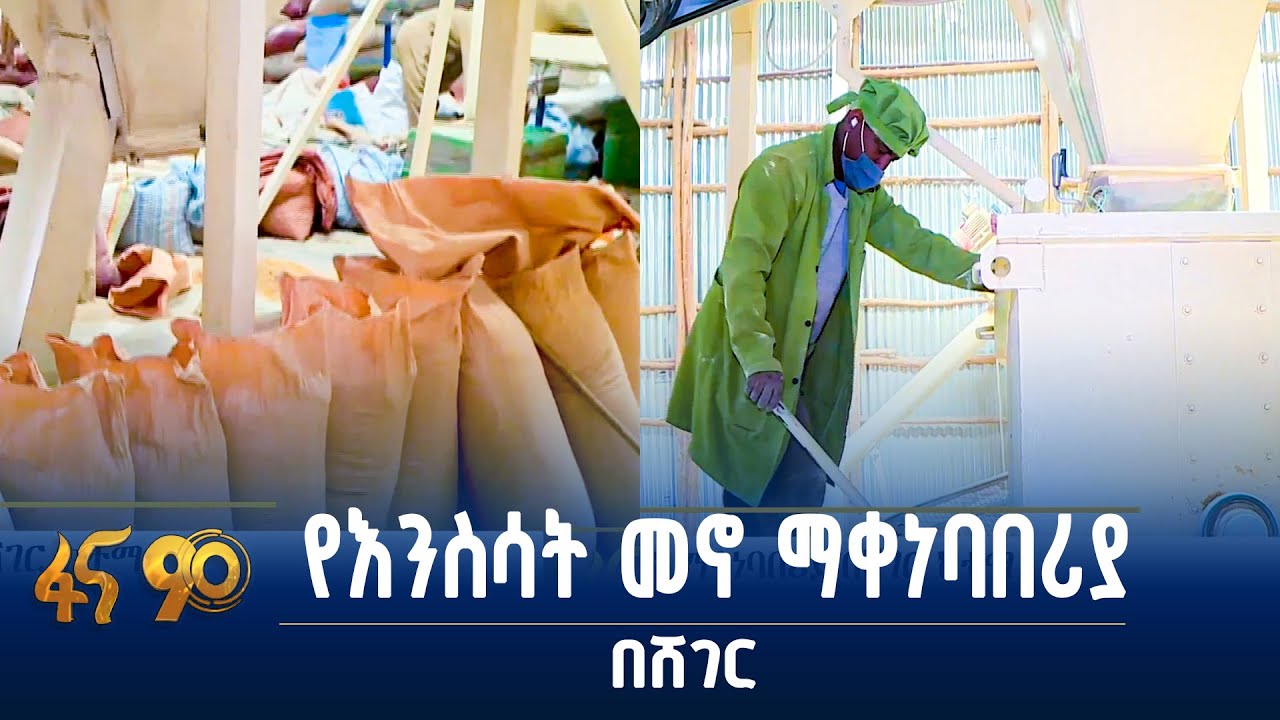 የእንስሳት መኖ ማቀነባበሪያ በሸገር