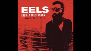 Eels - Prizefighter (Live)