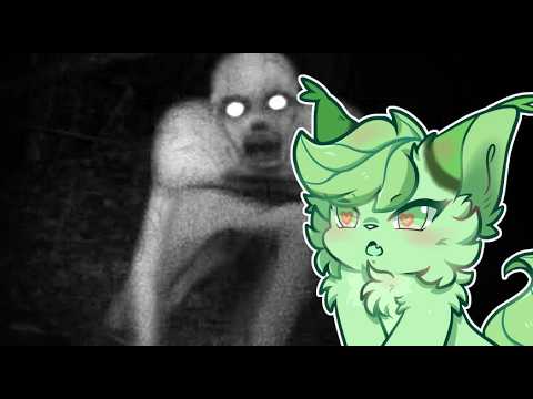 MyntYaps! CreepyPasta!