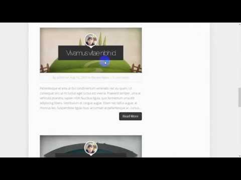Foxy WordPress Theme Review Demo