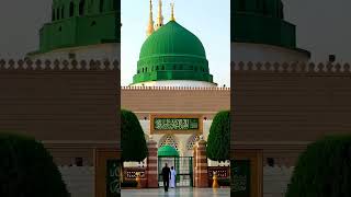 Ya Nabi Muj pay b💫❤️ #allah #madina #madinasharif #foryou #shortfeeds #shorts