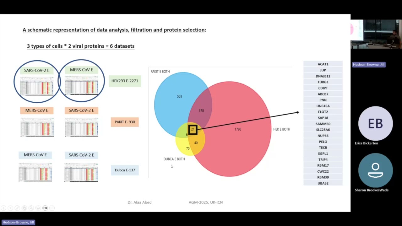 Dr Alaa Abed - SARS-CoV-2 and MERS-CoV envelope protein interactions