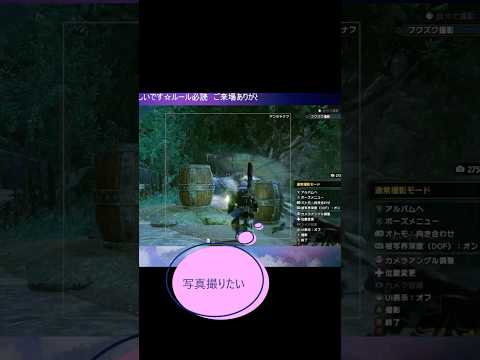 寝てるとお写真が撮りたくなるモンハンライズサンブレイク #vtuber準備中 #ゲーム実況 #モンハンライズ #mhrire #切り抜き #ps版モンハンライズサンブレイク