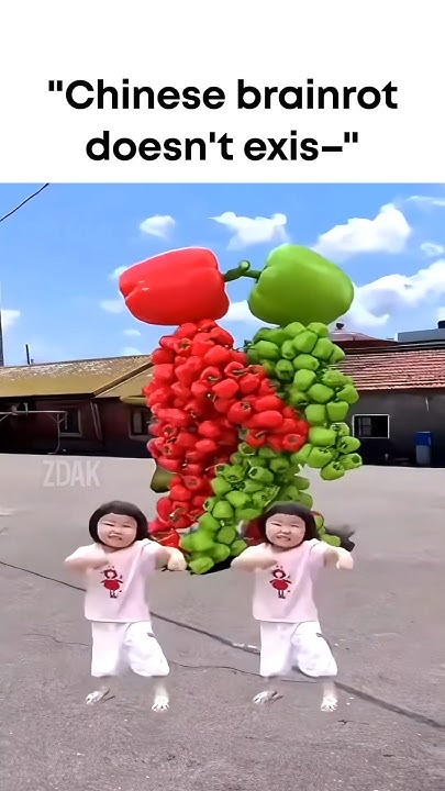 Chinese Brainrot - YouTube