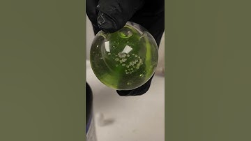 Making a Shrek snowglobe part 2 using Formlabs Creator Super Clear Resin #shrek #3dprinting #3dprint