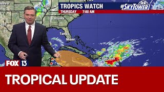 Famous Tropical disturbance in Caribbean could develop by next week Profile