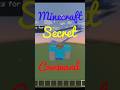 Minecraft Secret Command 💀#minecraft #shorts #jumpstyle