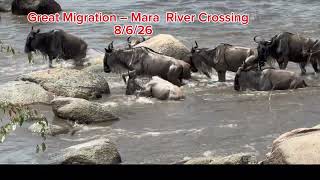The Great Migration 08/2026
