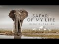 Safari of my Life -  Short Trailer - African Wildlife Photography Documentary Film - WATCH FILM NOW