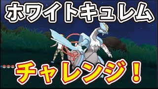 ポケモンサンムーン時空を越えし伝説ホワイトキュレムチャレンジ １時間でどれほどレアポケモンがレベルアップするのか Poket Monster Sun Moon Youtube