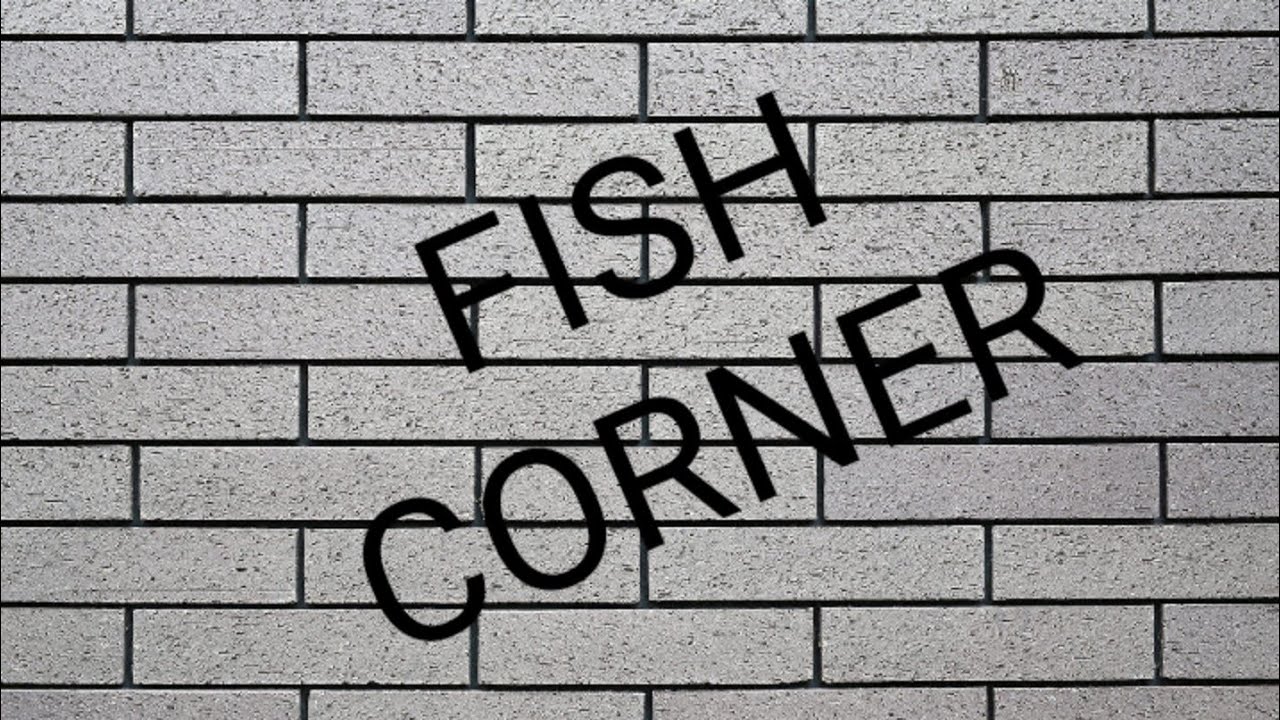 Visit to fish corner YouTube