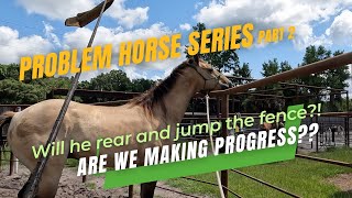 PTR 028: Problem Horse series pt2  Preparing a Rearing and Flipping Horse to be ridden