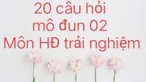 Mô đun 02 || ĐÁP ÁN 20 CÂU TRẮC NGHIỆM MÔN HOẠT ĐỘNG TRẢI NGHIỆM