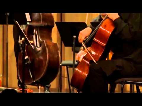Budapest Cello orchestra -  Goldberg Variationen