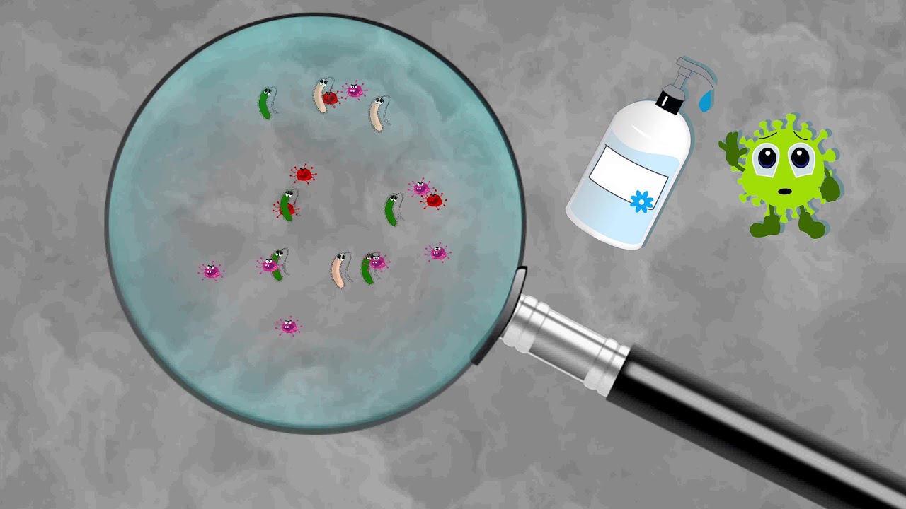 Wash Your Hands Please