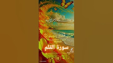 سورة القلم #اكسبلور #القزابري #duet #الرحمن #دويتو #المصحف #تيك_توك #حالات_واتس #quran #لايك