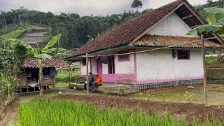 Life Slows Down Here | Serene Rice Fields and Stilt Houses
