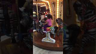 Carousel ride with daddy!
