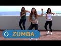 Zumba Bachata a lo loco - ZUMBA fitness PASO A PASO