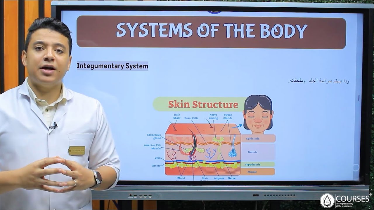 Introduction to Anatomy & Embryology - Part 8