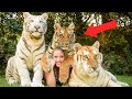 LIVING WITH TIGERS FOR 20 YEARS!?