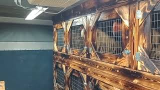 Full New stalls in Cadillac Ranch travel trailer ready to pull to the show News