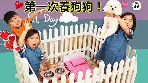 第一次養狗狗寵物！博美狗狗好可愛喔~ 準備狗狗用品!Puppy Pomeranian Breeding Dog（Toys Opening）！ - 天天要聞