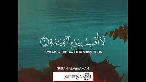 القارئ_أحمد_النفيس سورة_القيامة #القرآن_الكريم #سورة_القيامة #أحمد_النفيس