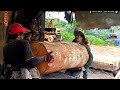 Kayu 4batang log diameter 1m