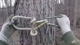 Simple PreTension 3:1  |  Arborist Rigging