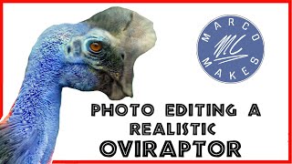 OVIRAPTOR Photo Editing + SHOUTOUTS, How to Make a Realistic Dinosaur on Photoshop screenshot 4