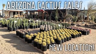Arizona Cactus Sales | New nursery location tour! | Chandler, AZ