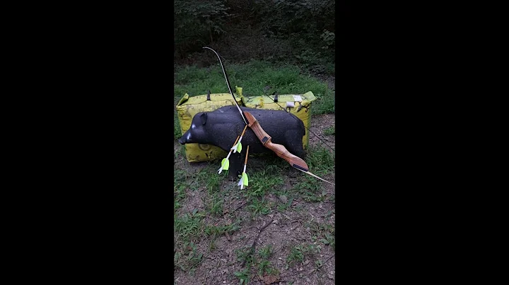 Review And First Shots With The October Mountain Products Mountaineer 2.0 Recurve Bow