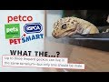 Reacting To Leopard Gecko Care Guides 😲 Petco, Petsmart & More