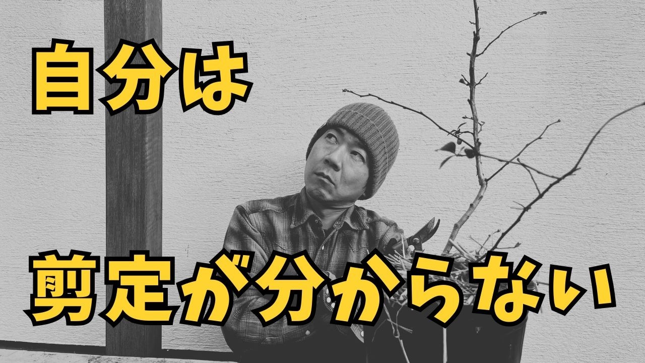 【初心者必見】ブルーベリー苗木の剪定悩む！迷う！｜迷いやすい枝の見極め方を習ってきました。